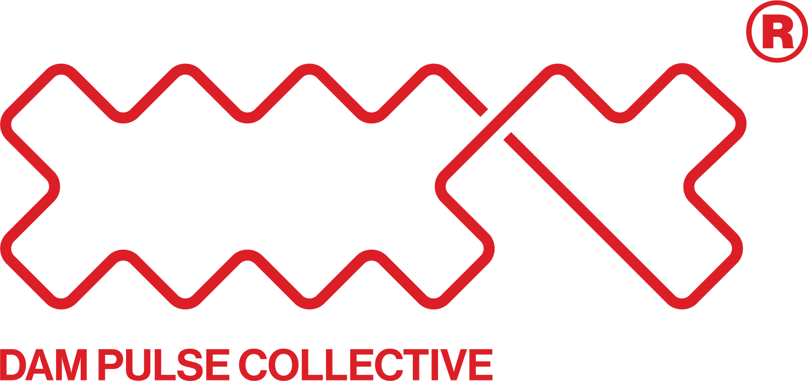 Dam Pulse Collective Logo
